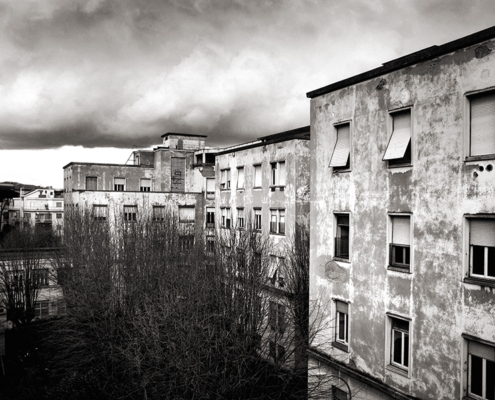 © Susan RoPe 1