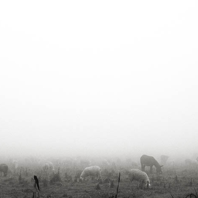 Gagliardi _ Untitled #1